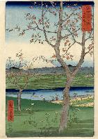 Hiroshige- 36 Views Of Mt Fuji - Fuji seen from Koshiga-ya, Province of Musashi