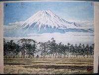 Kawase- cyclist with Mt. Fuji