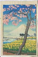 Koitsu- Mount Fuji in the Spring
