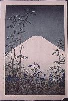 Okada, Koichi- Mt Fuji (1)