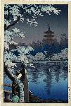 Geisha and Cherry Tree