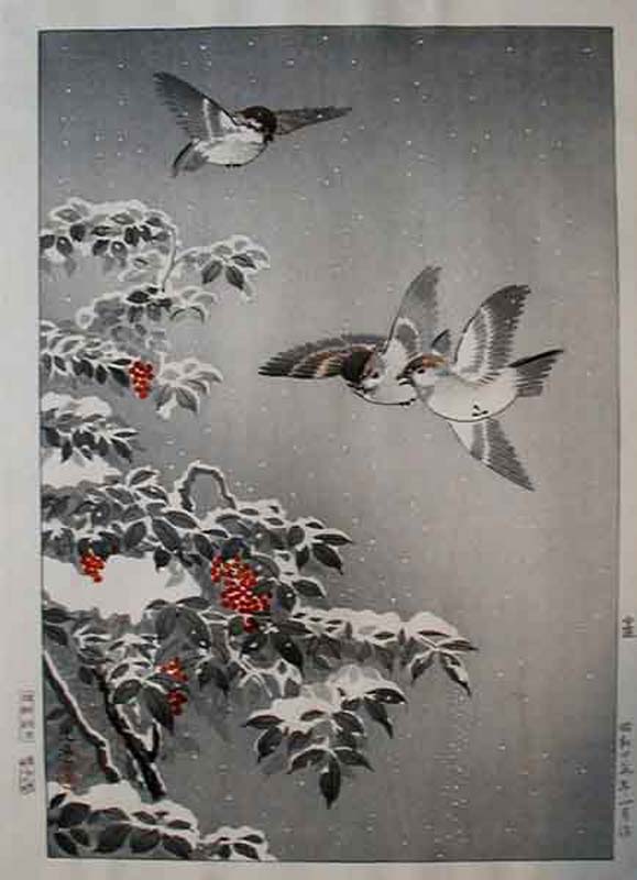 TK-DH-056-40-01-ob-NC-Sparrows