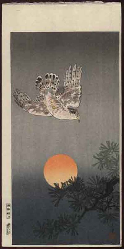 TK-DH-071-03-00-3k-NC-Untitled_Bird_Print