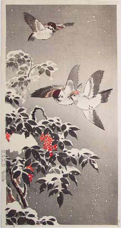 TK-DH-075-40-01-3k-CR-Sparrows-Andreas