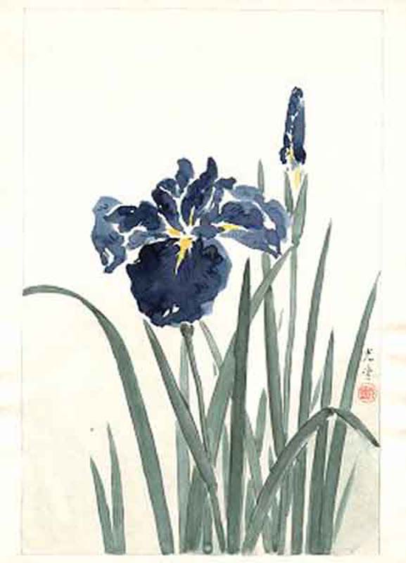 TK-XX-10-03-00-ob-NC-Floral_painting_9