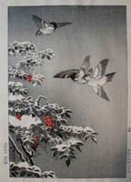 TK-DH-056-40-01-ob-NC-Sparrows