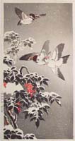 TK-DH-075-40-01-3k-CR-Sparrows