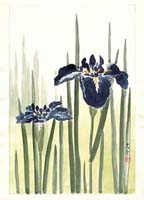 TK-XX-09-03-00-ob-NC-Floral_painting_7
