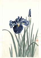 TK-XX-10-03-00-ob-NC-Floral_painting_9