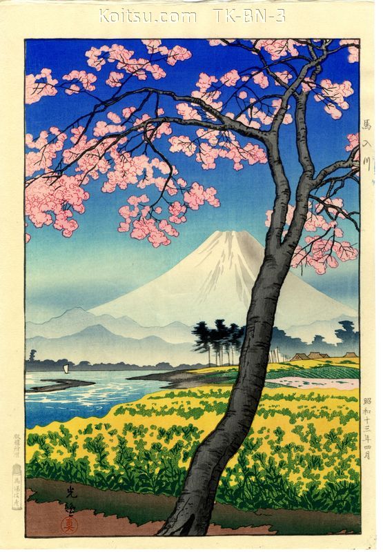 The River Banyu In Springtime