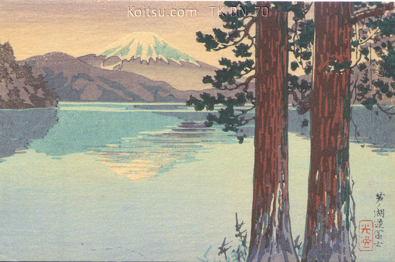 Ashinoko Sakasafuji