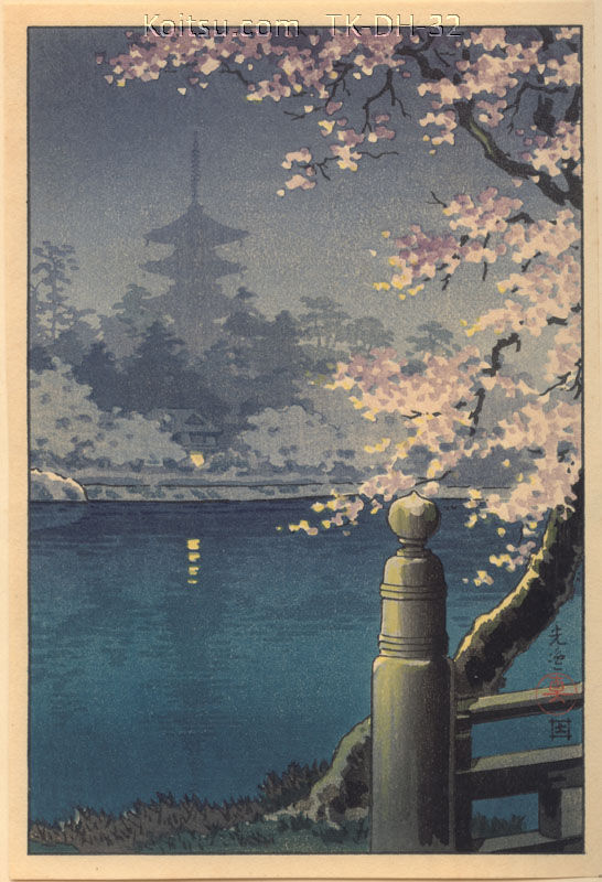 Evening Cherry Blossoms at the Edge of Sarusawa Pond