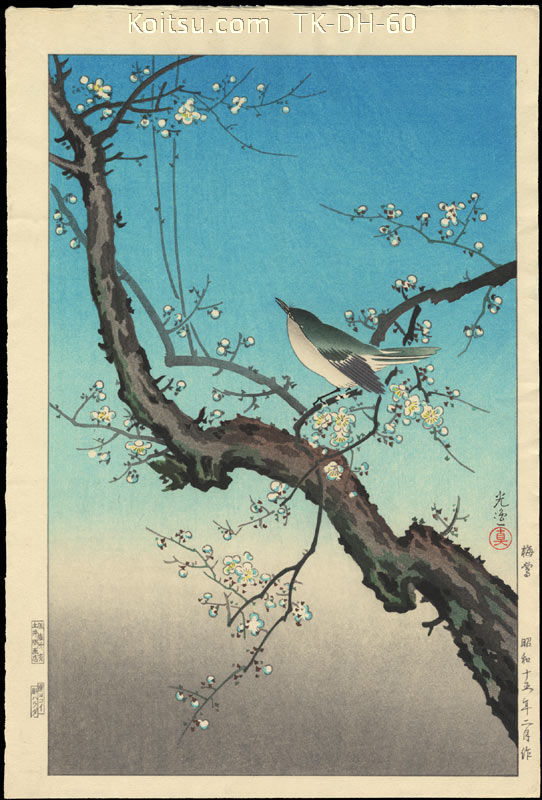 Plum Warbler
