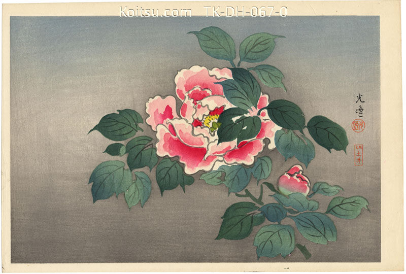 Peonies - Blue Grey