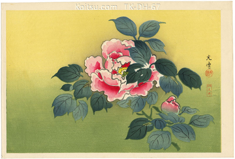 Peonies - Yellow Green