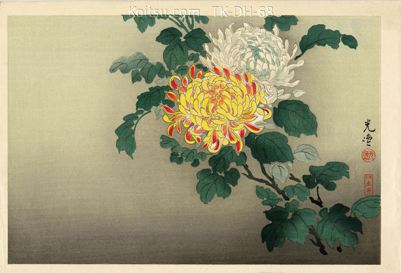 Chrysanthemums