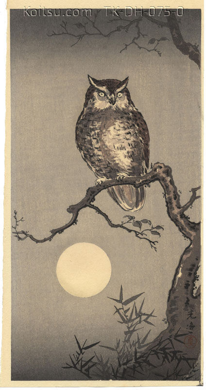 Owl