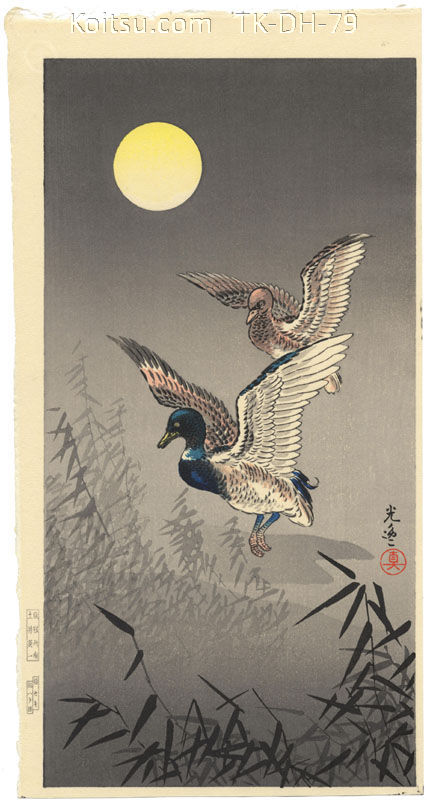 Ducks