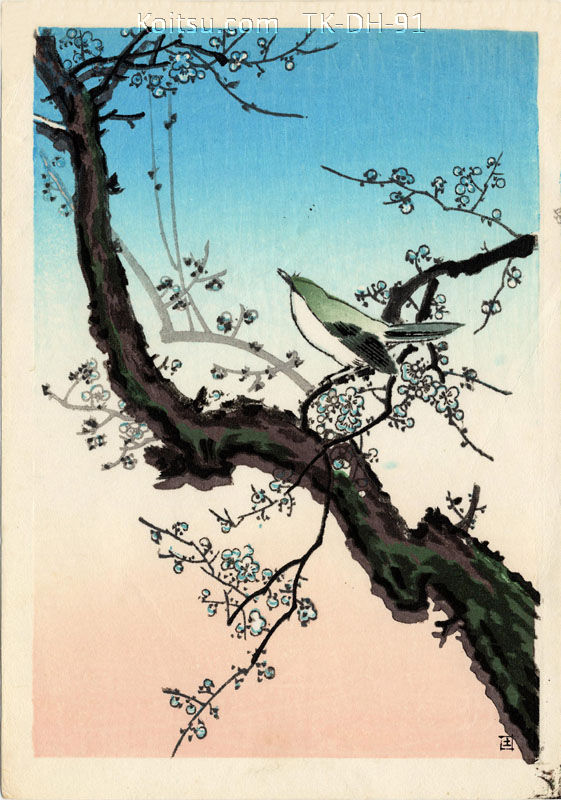Plum Warbler