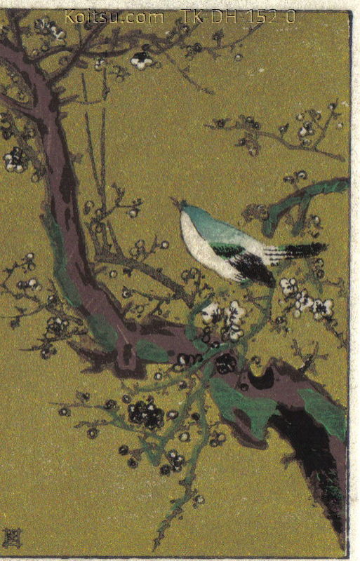 Plum Warbler