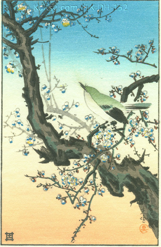 Plum Warbler