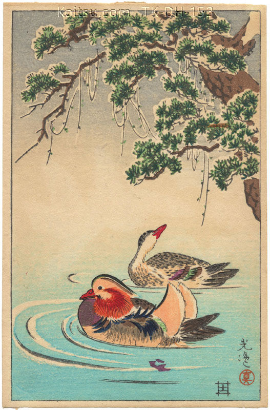 Mandarin Ducks