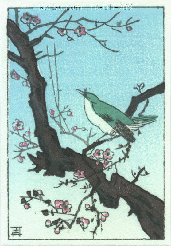 Plum Warbler