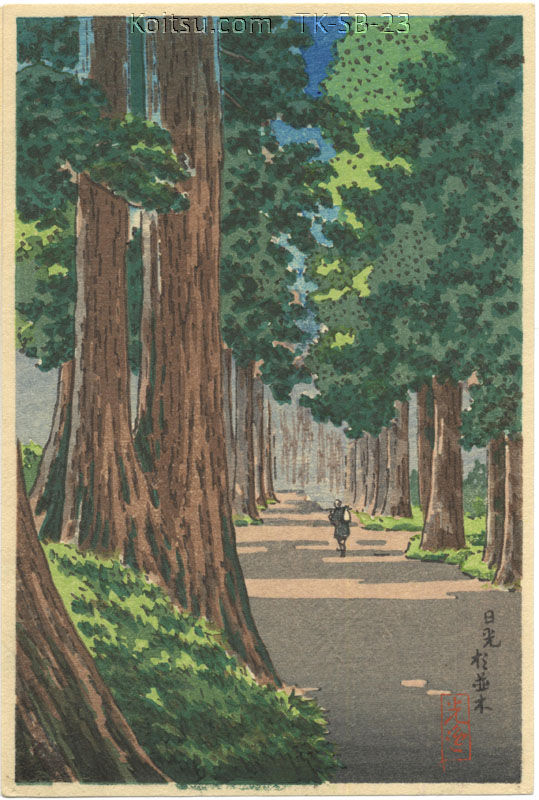 The Avenue of Gigantic Cryptomerias in Nikko