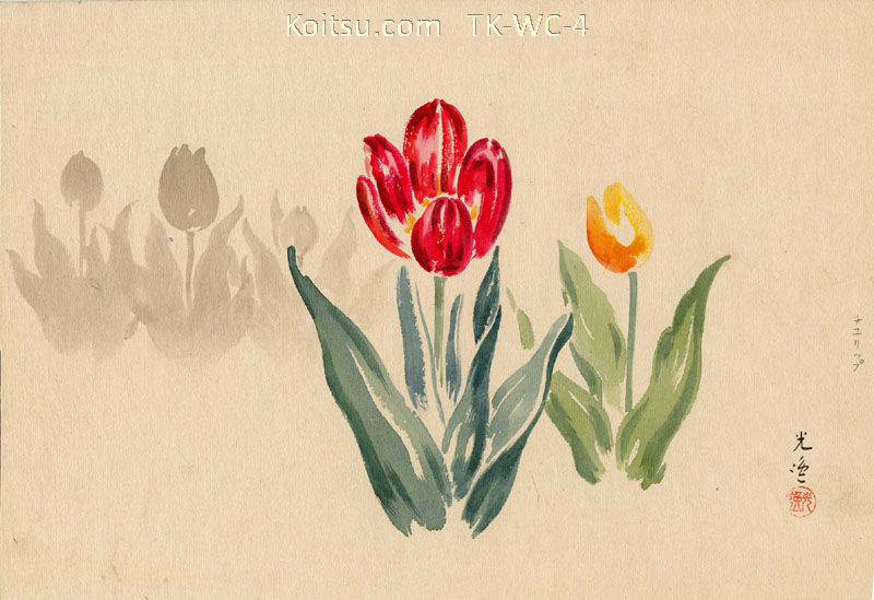 Tulips
