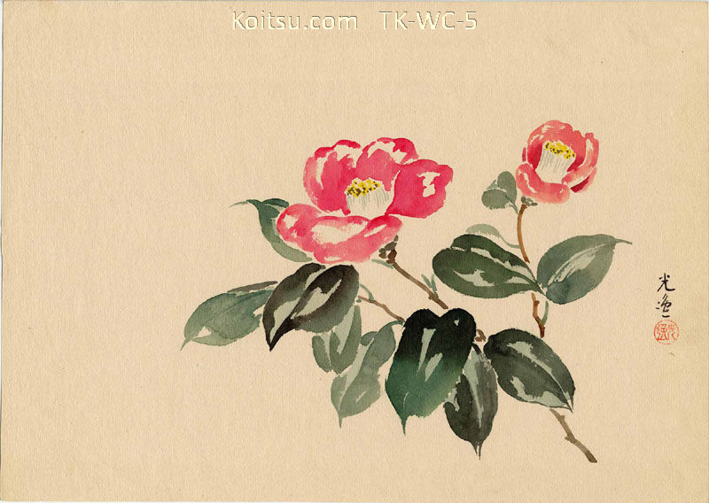Camellia