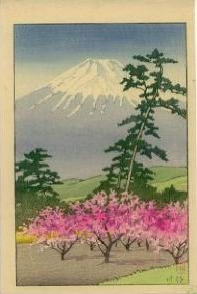 Kawase- Fuji (2)
